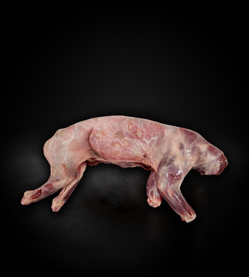 produkt